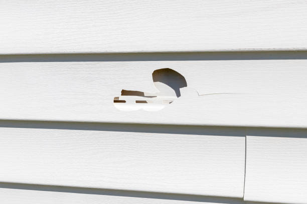 Best Fascia and Soffit Installation  in Beaumont, CA