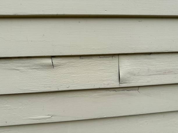 Best Custom Siding Design  in Beaumont, CA